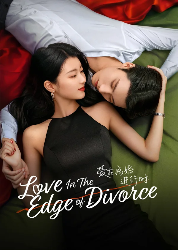 爱在离婚进行时海报