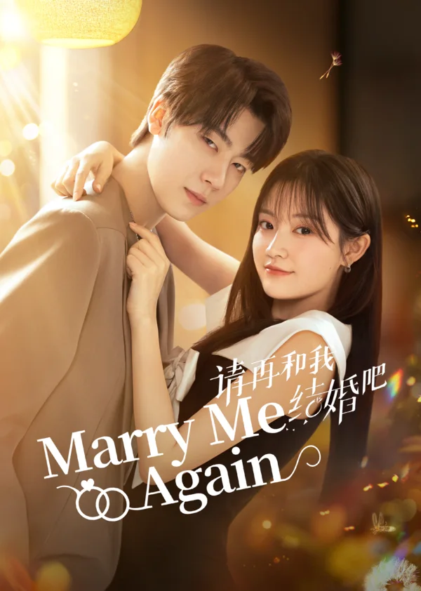 请再和我结婚吧海报
